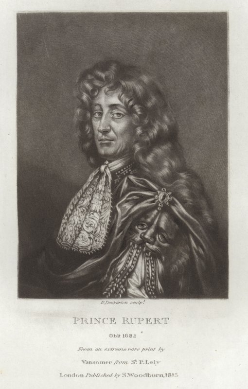 Prinz Rupert von Peter Lely