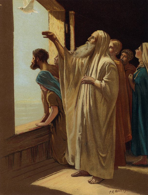 Noah sendet die Taube aus von Philip Richard after Morris