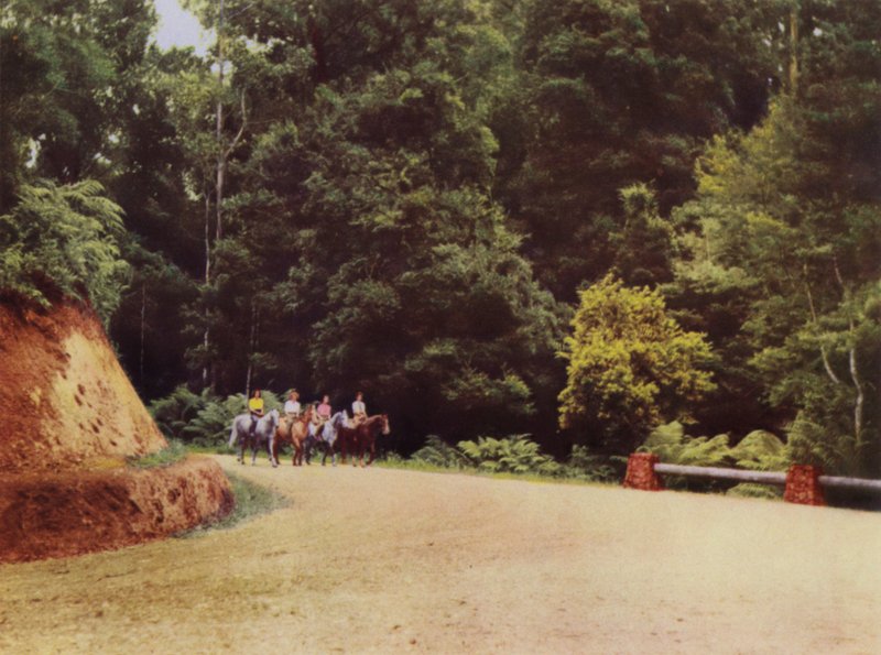 Entlang einer Bergstraße von Photographer Australian