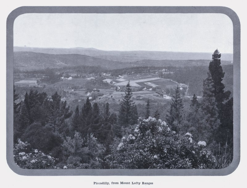 Piccadilly, von den Mount Lofty Ranges von Photographer Australian