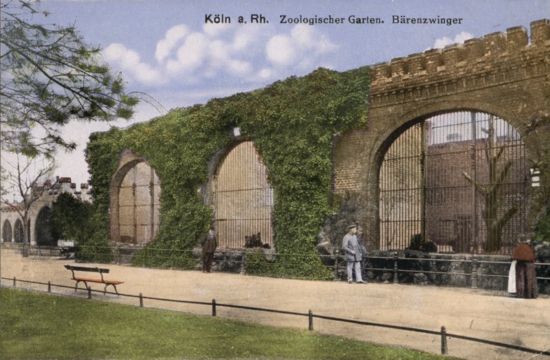 Kölner Zoo, Bären von Photographer German