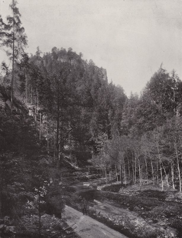 Partie aus dem Polenztal von Photographer German
