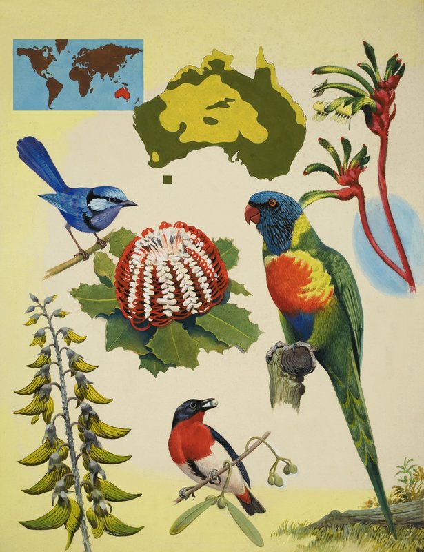 Tierwelt Australiens von R.B. Davis