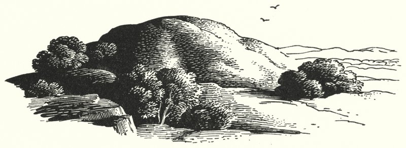 Hans Christian Andersen: Der Elfenhügel von Rex (after) Whistler