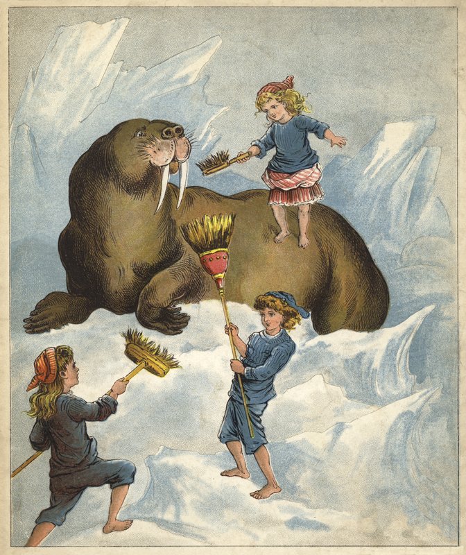 Zähneputzen eines Walrosses von Richard Andre