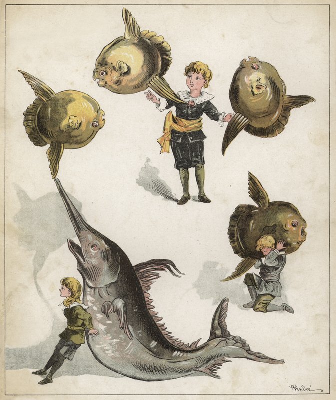 Fischgymnastik von Richard Andre