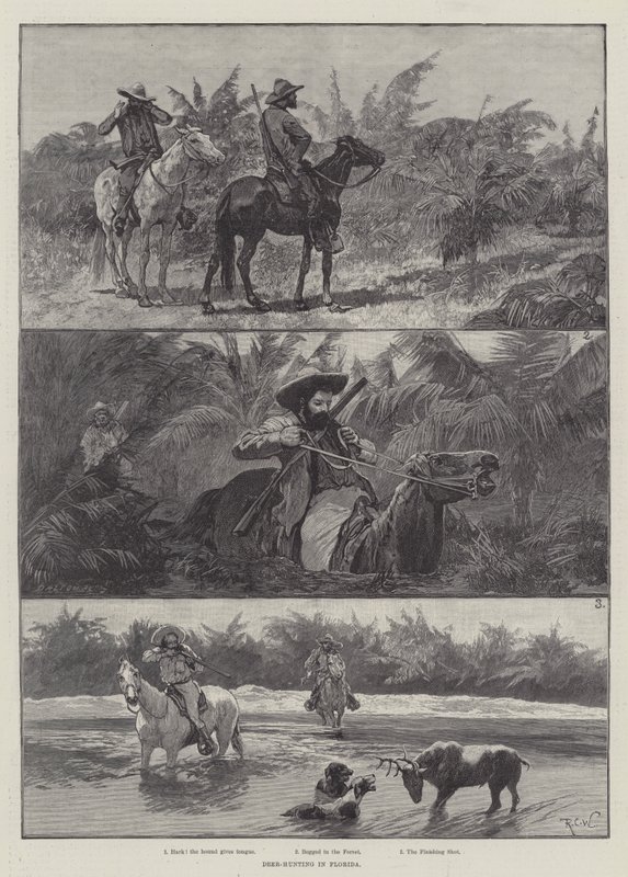 Hirschjagd in Florida von Richard Caton Woodville junior