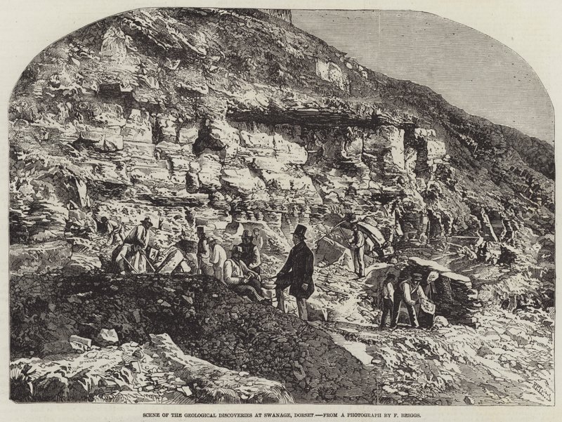 Szene der geologischen Entdeckungen in Swanage, Dorset von Richard Principal Leitch