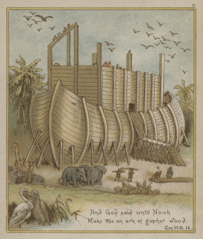 Noahs Arche von Richard Andre