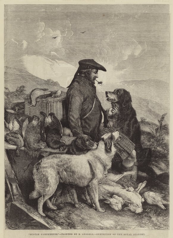 Schottischer Wildhüter von Richard Ansdell