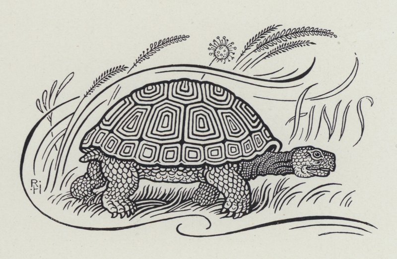 Der Hase und die Schildkröte (Stich) von Richard Heighway