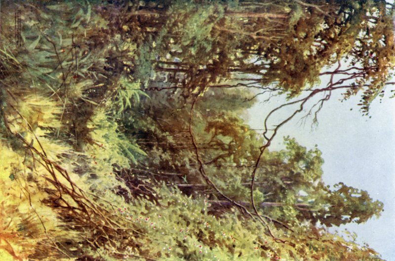 Eine Waldlichtung von Robert George Talbot Kelly