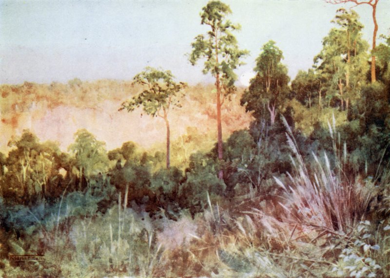 Dschungel an der Lashio-Linie von Robert George Talbot Kelly