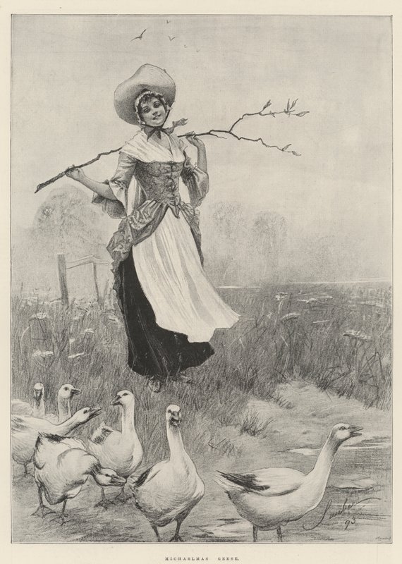 Michaelmas-Gänse von Robert Sauber