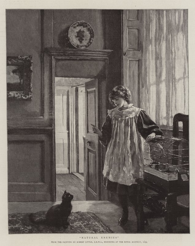 Natürliche Feinde von Robert W. Little