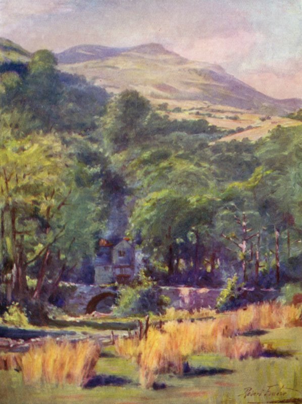 Duffws Berg von Robert (after) Fowler