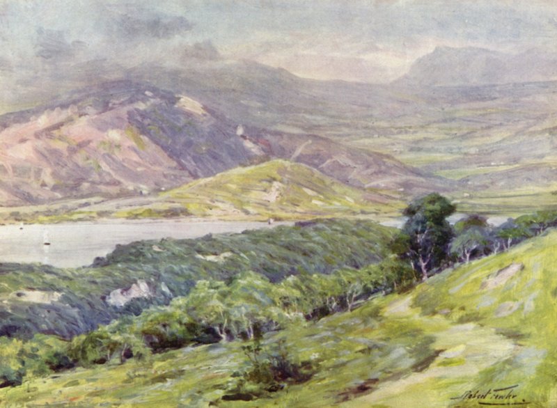 Duffws Mountain im Nebel von Robert (after) Fowler