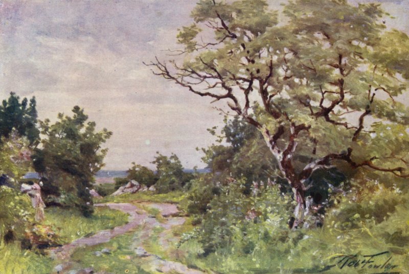 Feldweg, nahe Llanrug von Robert (after) Fowler