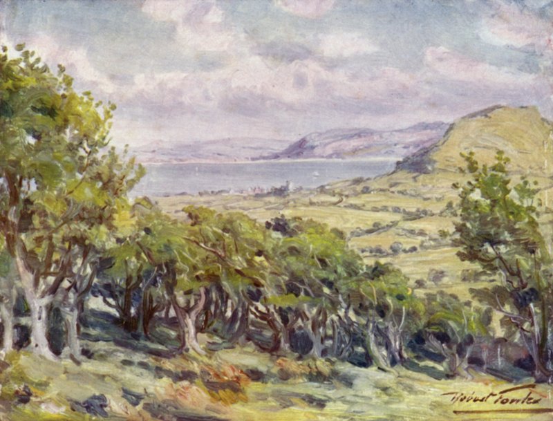 Nahe Colwyn Bay von Robert (after) Fowler