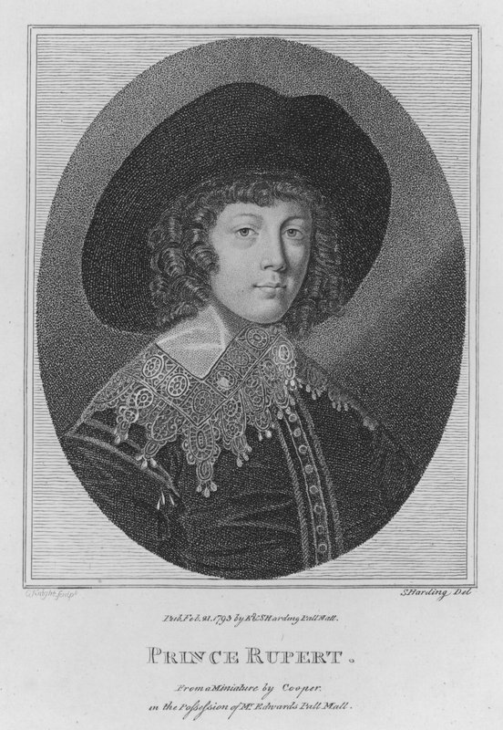 Prinz Rupert von S. (after) Harding