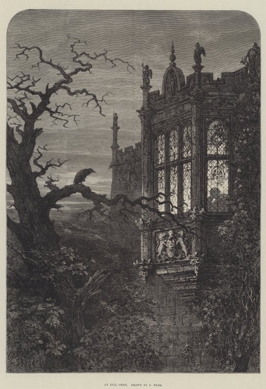 Ein böses Omen von Samuel Read