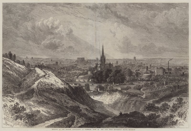Treffen der British Association in Norwich, Ansicht der Stadt von Mousehold Heath von Samuel Read