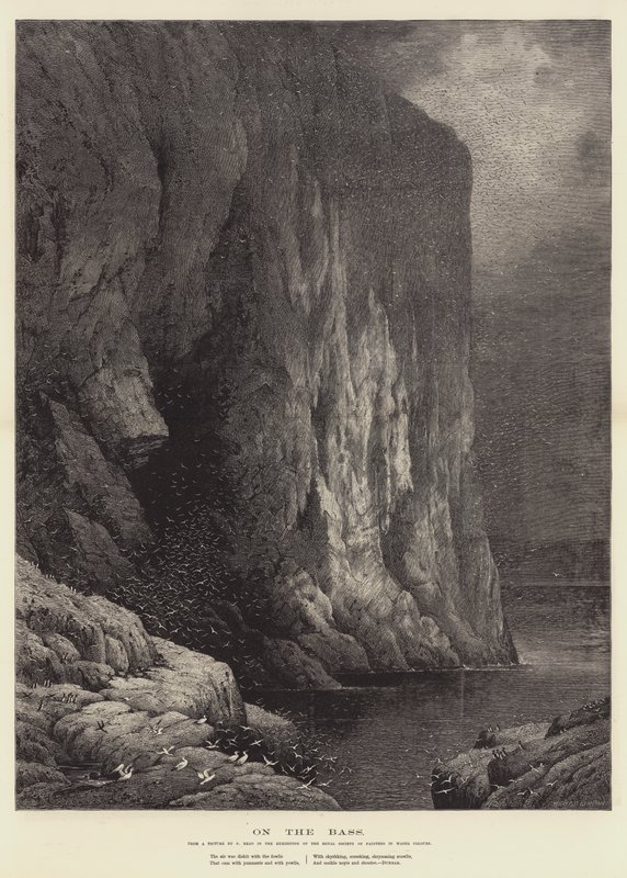 Auf dem Bass, in der Ausstellung der Royal Society of Painters in Water Colours von Samuel Read