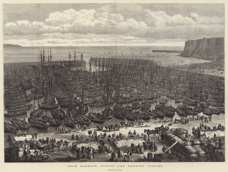 Wick Harbour während des Heringsfangs von Samuel Read