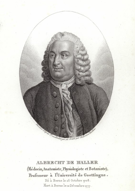 Albrecht von Haller von Sigmund Freudenberger
