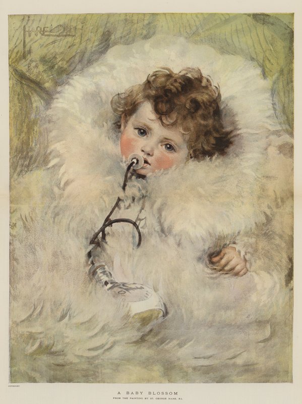 Ein Babyblüte von St. George Hare