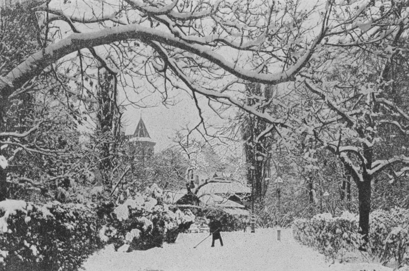 Neuenburg, Der Englische Garten von Swiss Photographer