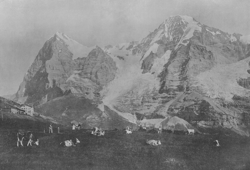 Wengernalp, Eiger und Mönch von Swiss Photographer