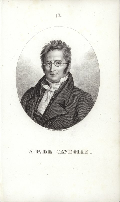 Augustin Pyramus de Candolle von Swiss School