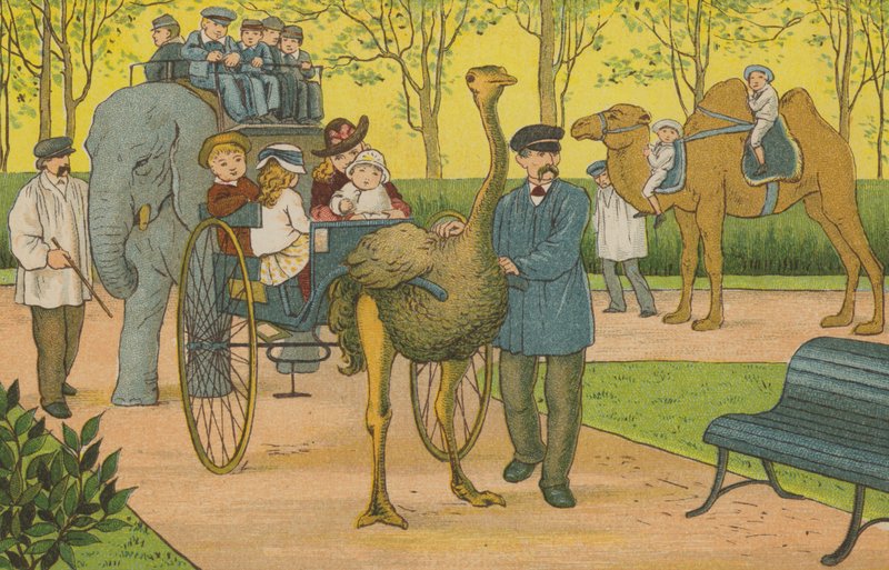 Paris: der Zoo von Thomas Crane