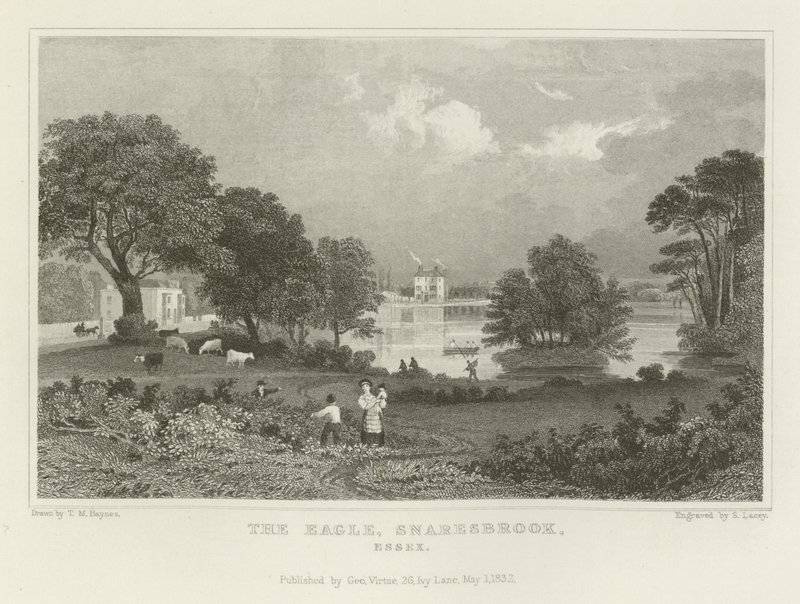 Der Adler, Snaresbrook, Essex von Thomas Mann Baynes