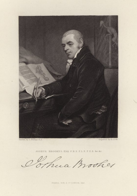 Joshua Brookes von Thomas Phillips