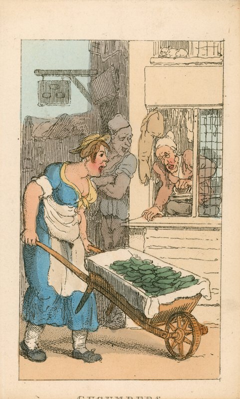 Gurken von Thomas Rowlandson