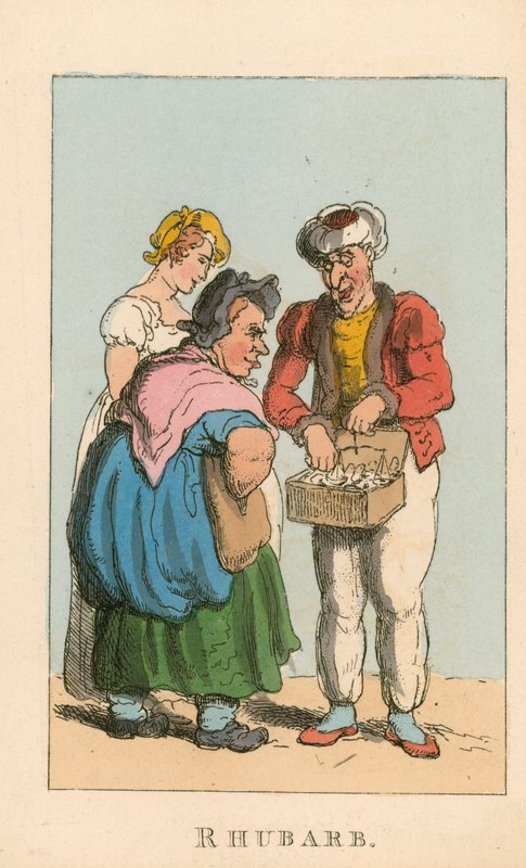 Rhabarber von Thomas Rowlandson