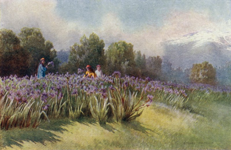 Frühling in Kaschmir von Unbekannt Unbekannt
