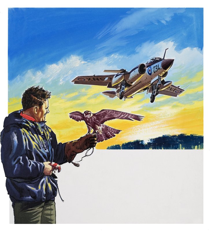 Falkenflug von Wilf (20th century) Hardy