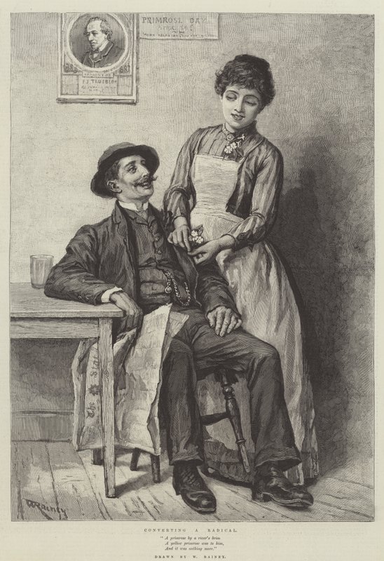 Einen Radikalen bekehren von William Rainey