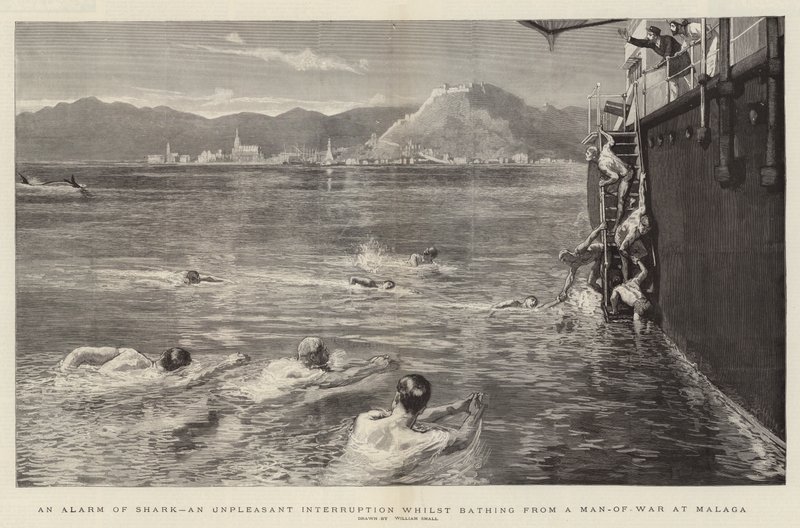 Ein Hai-Alarm, eine unangenehme Unterbrechung beim Baden von einem Kriegsschiff in Malaga von William Small