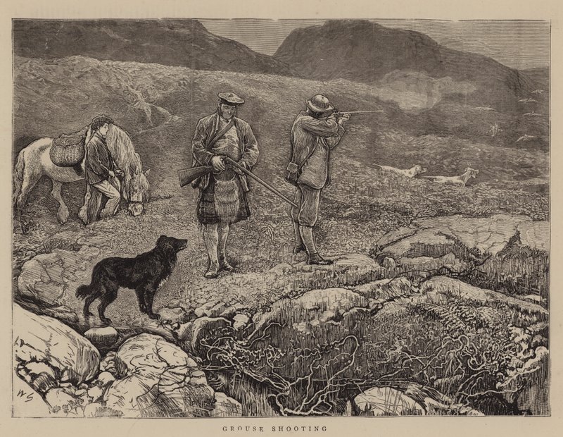Moorhuhnjagd von William Small