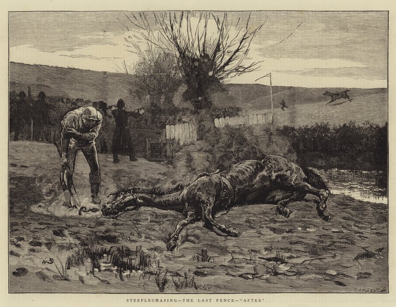 Hindernisrennen, der letzte Zaun von William Small