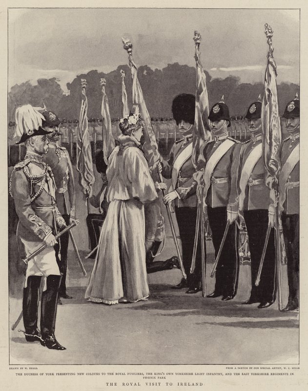 Der königliche Besuch in Irland von William Small