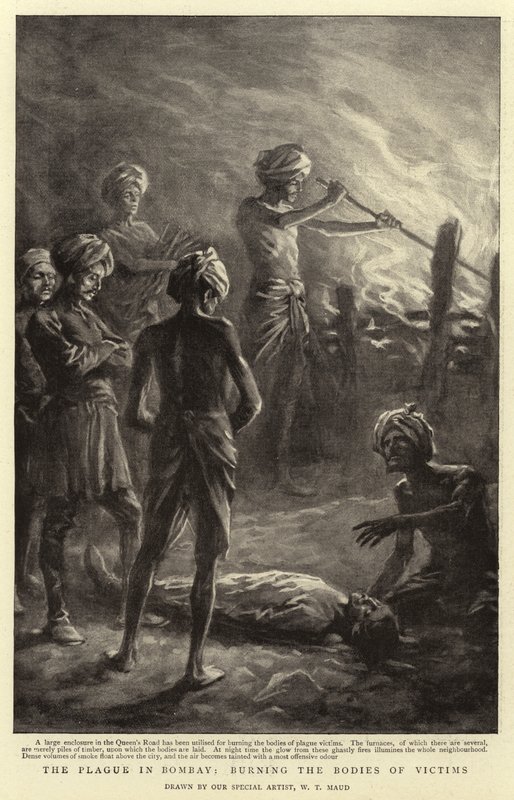 Die Pest in Bombay, Verbrennung der Opfer von William T. Maud
