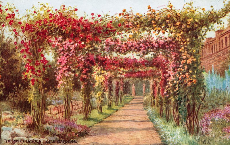 Die Rosenpergola, Kew Gardens von William Affleck Carruthers
