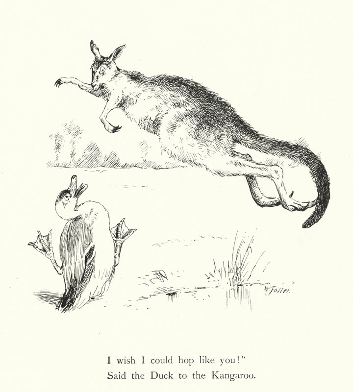 Die Ente und das Känguru von William Foster