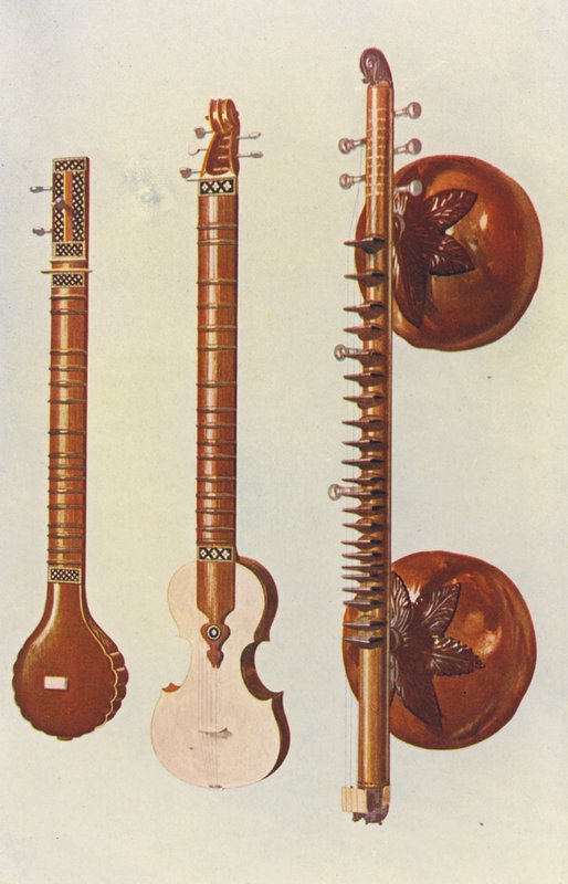 Musikinstrumente: Sitars und Vina von William Gibb
