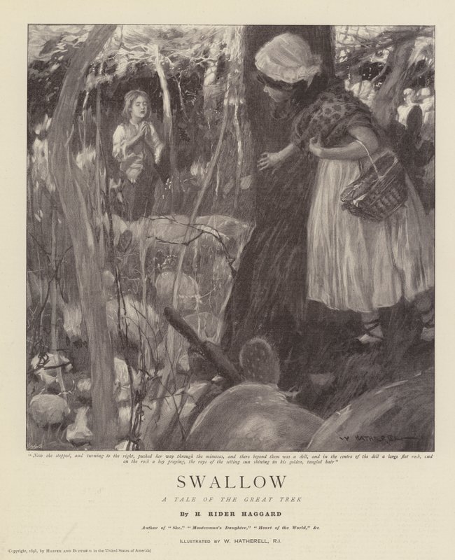 Schwalbe, eine Geschichte des Großen Trecks von William Hatherell